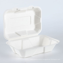 Modern Design Sugarcane Bagasse Pulp Paper Bento Lunch Food Box